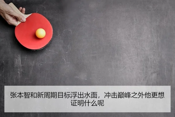张本智和新周期目标浮出水面，冲击巅峰之外他更想证明什么呢